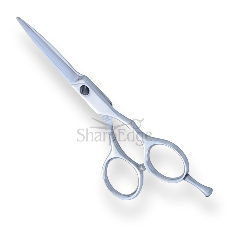 Professional Hair Dressing Scissors 